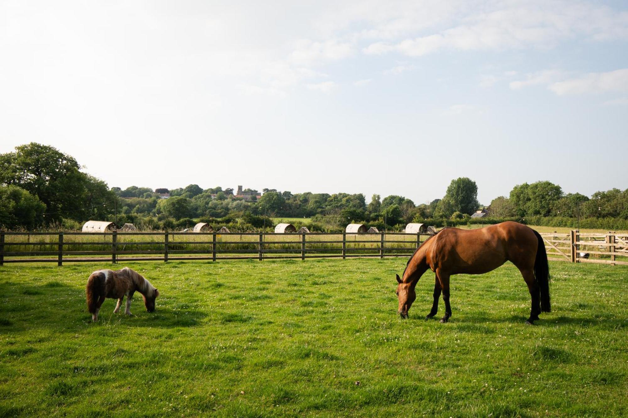 Sedgewell Barn By Wigwam Holidays Northallerton Eksteriør bilde