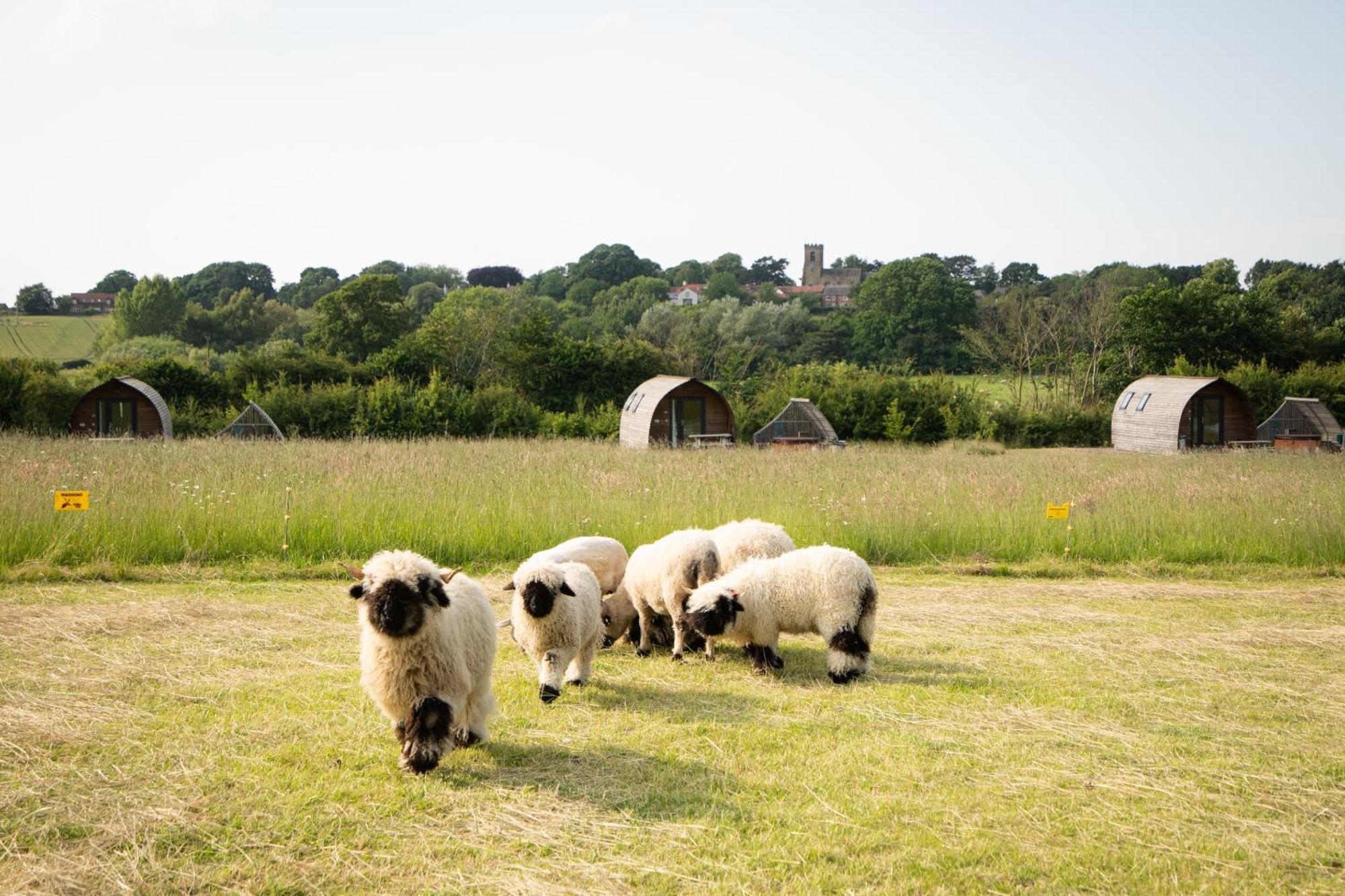 Sedgewell Barn By Wigwam Holidays Northallerton Eksteriør bilde